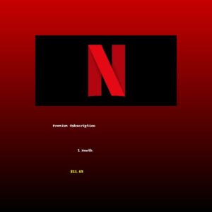 Netflix Premium Subscription - 1 Month